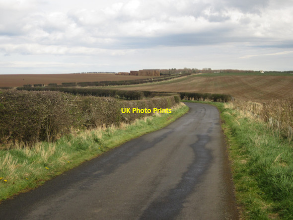 Photo 6"x4" Looking along the country lane towards Ross Elwick\/NU1136 c2013