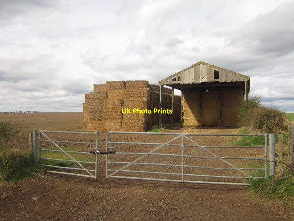 Photo 6"x4" Straw storage near Ross Elwick\/NU1136 c2013