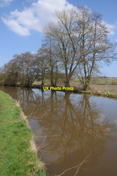 Photo 6"x4" Trees reflected in the Worcester and Birmingham Canal Broad Green\/SO9970 c2013