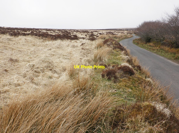 Photo 6"x4" Minor road on Exford Common Exford c2013