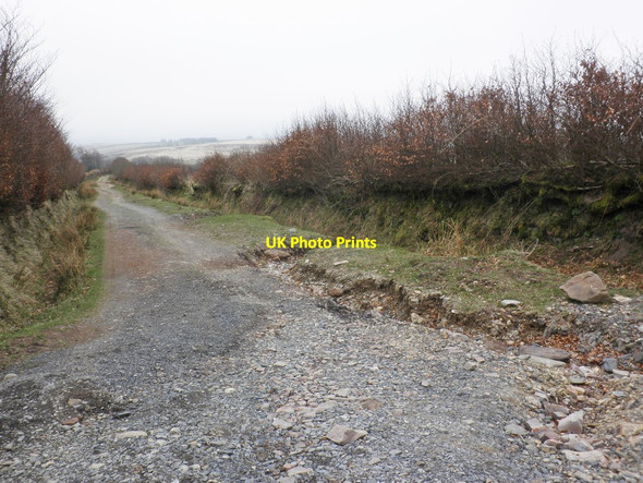 Photo 6"x4" Stone Lane (Bridleway) Exford c2013