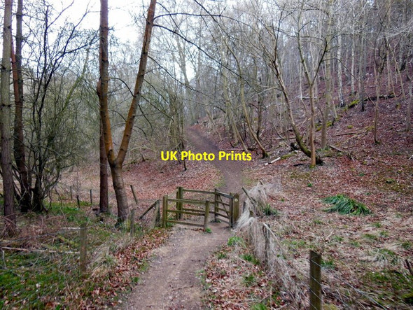 Photo 6"x4" Breakheart Plantation Postlip c2013