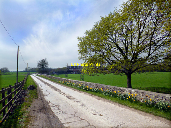 Photo 6"x4" Road to Bradley Farm Cumnor c2013