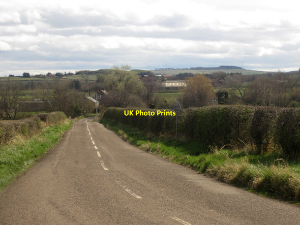 Photo 6"x4" Country road near Easington Grange Mill Elwick\/NU1136 c2013