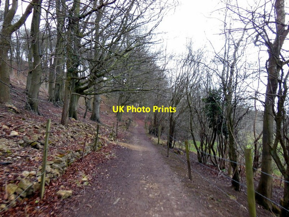Photo 6"x4" The track above Badgers Mount Farm Cleeve Hill\/SO9826 c2013