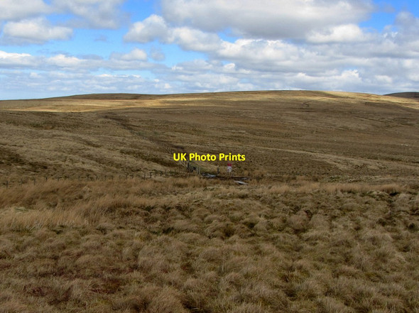 Photo 6"x4" Source of the River Coquet Upper Hindhope c2013