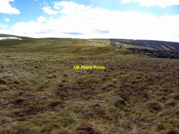 Photo 6"x4" Ogre Hill Upper Hindhope c2013