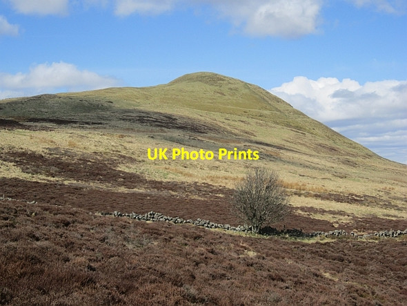 Photo 6"x4" Falkland Hill Falkland c2013
