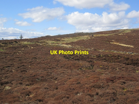 Photo 6"x4" Path up Falkland Hill Falkland c2013