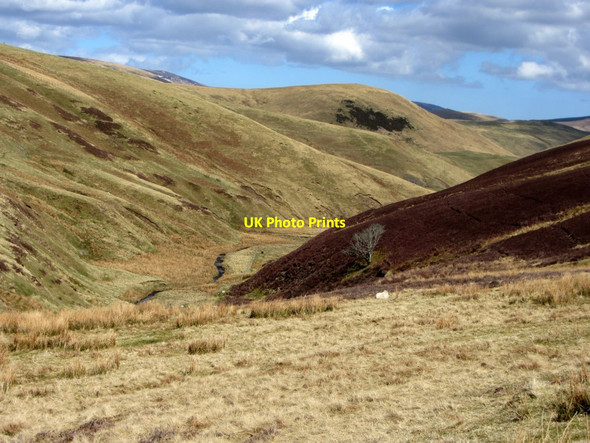 Photo 6"x4" Coquetdale between Makendon & Fulhope Saddlers Knowe c2013