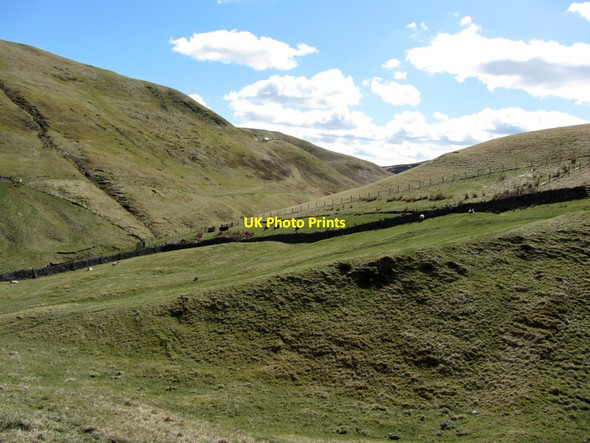 Photo 6"x4" Pasture north of Fulhope Burn Fulhope c2013