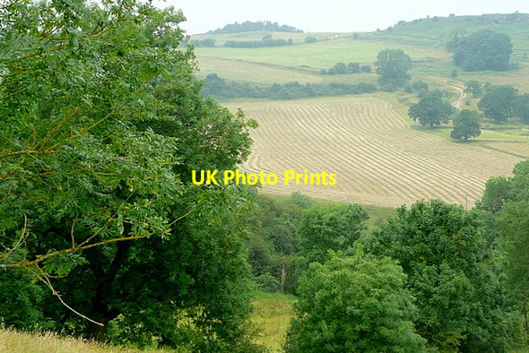 Photo 6"x4" View from Elton Dale End\/SK2161 c2012