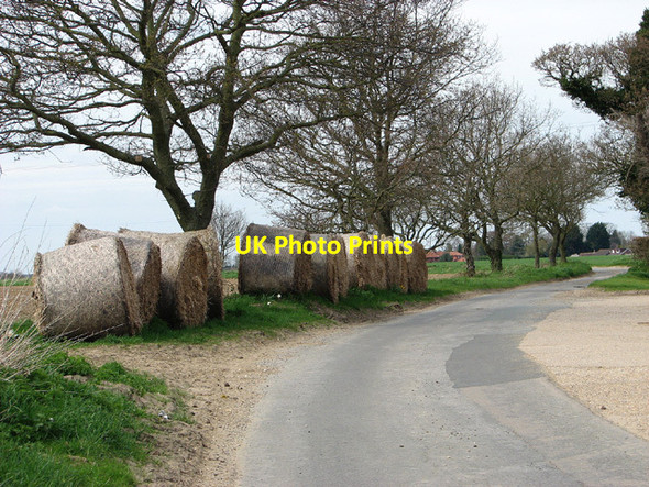 Photo 6"x4" Bales beside the road at Hill Farm, South Burlingham Lingwood c2013