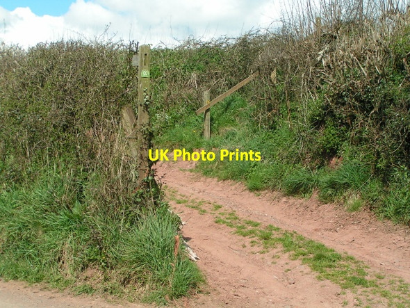 Photo 6"x4" Two Moors way footpath leaving the lane Bow\/SS7201 c2013