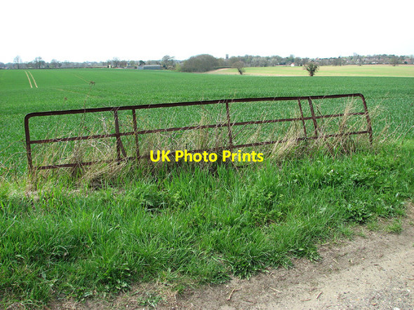 Photo 6"x4" Fields west of Hemblington Road, Strumpshaw Blofield c2013