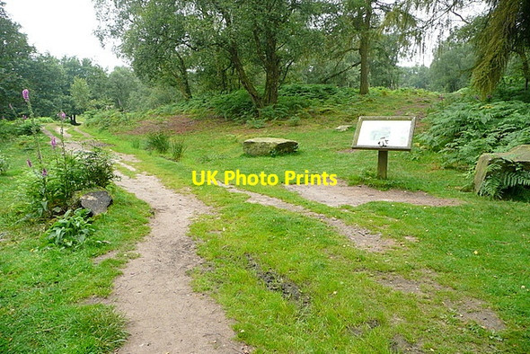 Photo 6"x4" Entrance to Stanton Moor Stanton in Peak c2012