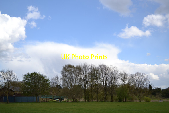 Photo 6"x4" Riverside trees coming into leaf, St Nicholas Park Warwick c2013