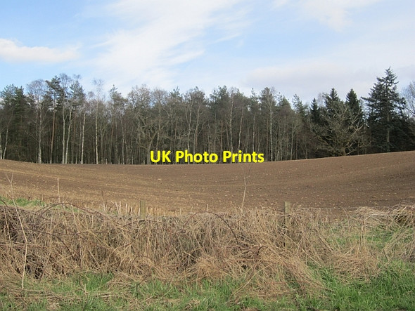 Photo 6"x4" Arable land, Innerpeffray Tomaknock c2013