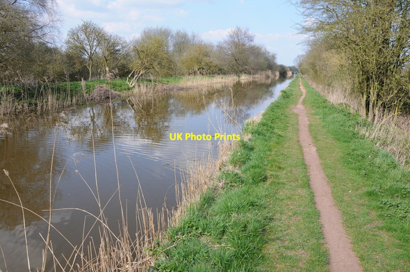 Photo 6"x4" Worcester and Birmingham Canal near Hanbury Astwood\/SO9365 c2013