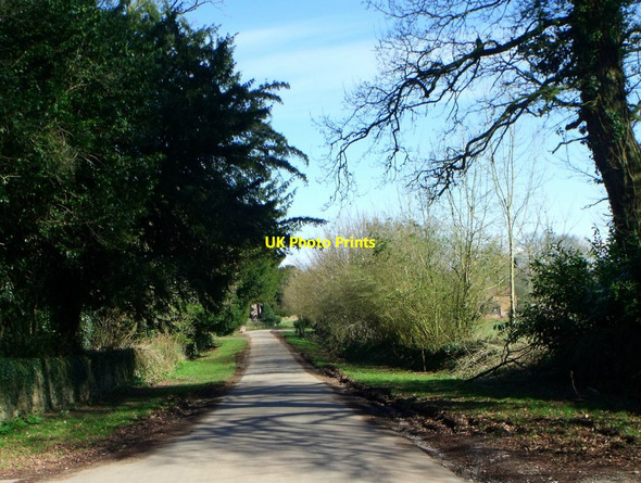 Photo 6"x4" Minor road at Broomfield, Somerset Broomfield\/ST2232 c2013