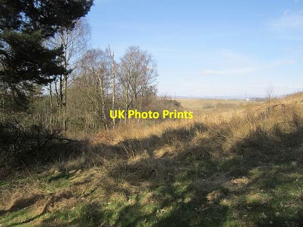 Photo 6"x4" Woodland edge, Hurlet Hill Hurlet c2013