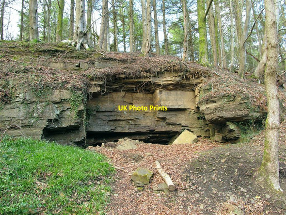 Photo 6"x4" Quarry remains in Penllergaer Forest Penllergaer c2013