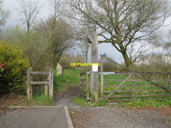 Photo 6"x4" Northeast entrance from Tircoed village into Penllergaer Forest Pontlliw c2013