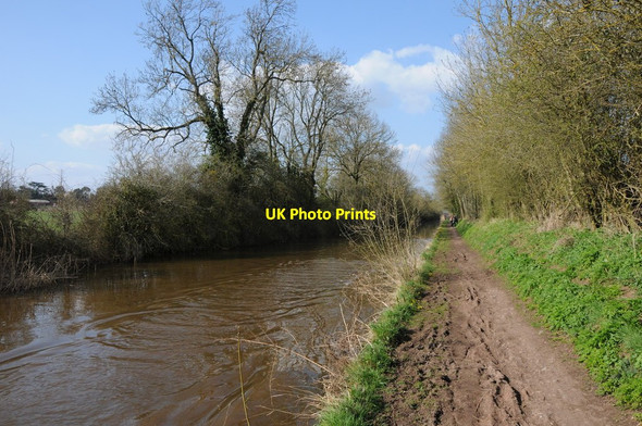 Photo 6"x4" The Worcester and Birmingham Canal, Hadzor Droitwich c2013
