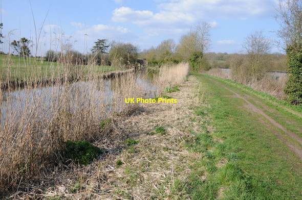 Photo 6"x4" The Worcester and Birmingham Canal at Oddingley Dunhampstead c2013
