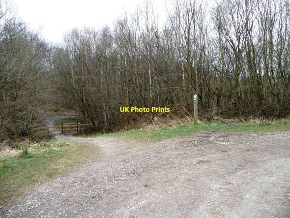 Photo 6"x4" Path into Watermills Wood, Apedale Country Park Alsagers Bank c2013