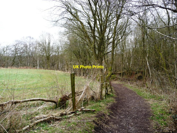 Photo 6"x4" Footpath along the northern edge of Watermills Wood Alsagers Bank c2013