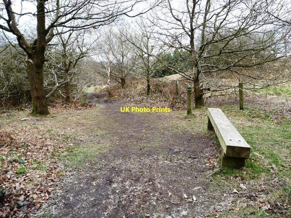 Photo 6"x4" The path down to Perch Pool Alsagers Bank c2013