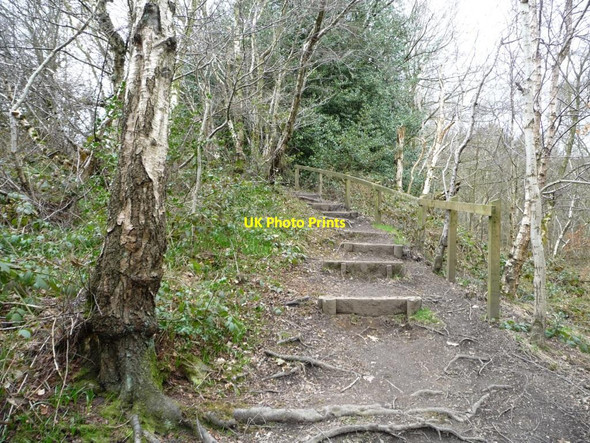 Photo 6"x4" Steps on the path to Perch Pool Alsagers Bank c2013