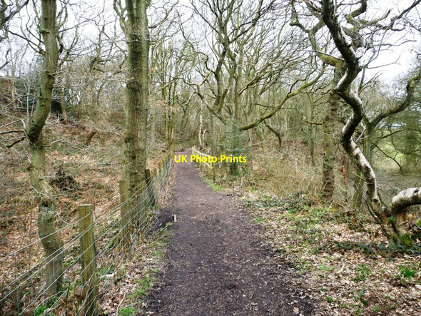 Photo 6"x4" Fenced path, Watermills Wood Alsagers Bank c2013