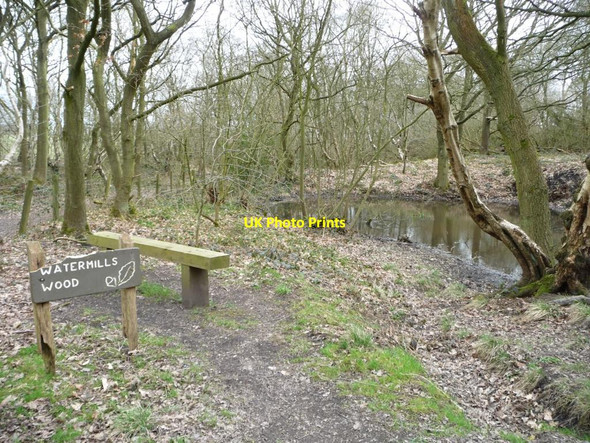 Photo 6"x4" One of the entrances to Watermills Wood Alsagers Bank c2013