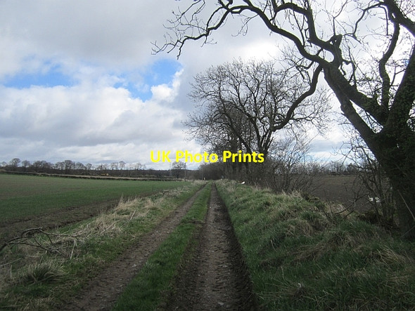 Photo 6"x4" Farm road, Dogton Cluny\/NT2495 c2013