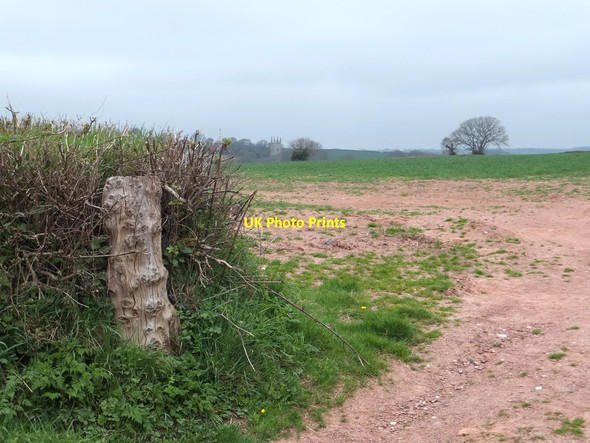 Photo 6"x4" Field entrance with a view of Sampford Courtenay church Trecott c2013