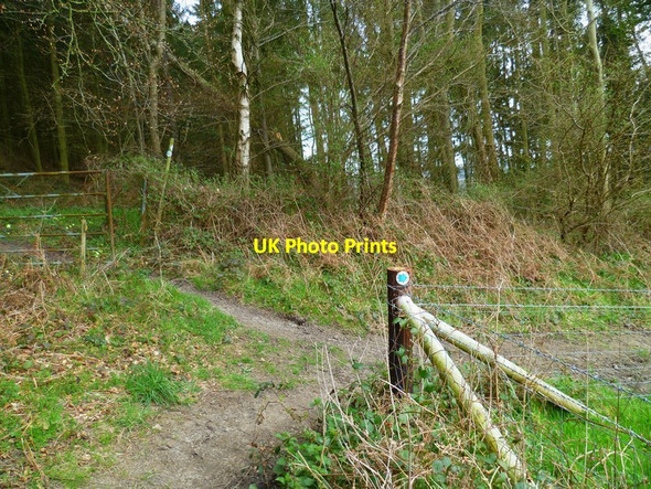 Photo 6"x4" The Orange Way in Wiltshire (85) Teffont Evias c2013