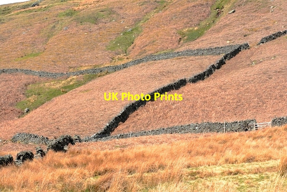 Photo 6"x4" Carle Fell Side Braidley c2013