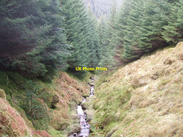 Photo 6"x4" Allt Coire No St Catherines\/NN1207 c2013