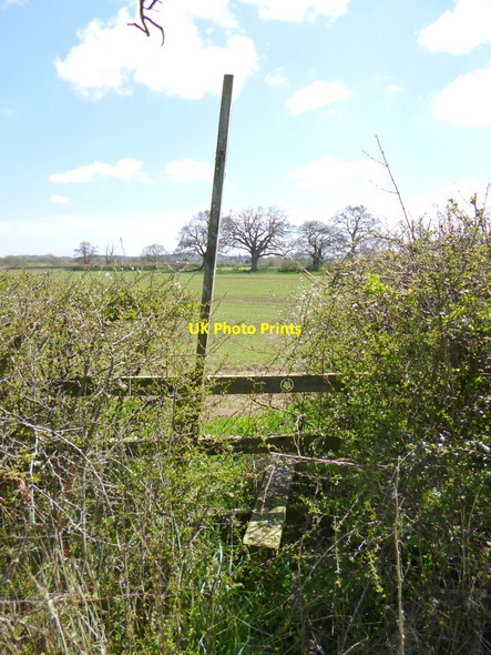 Photo 6"x4" Newton, stile Newton\/ST7713 c2013