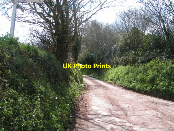 Photo 6"x4" Looking south from Walson Cross Nymet Tracey c2013