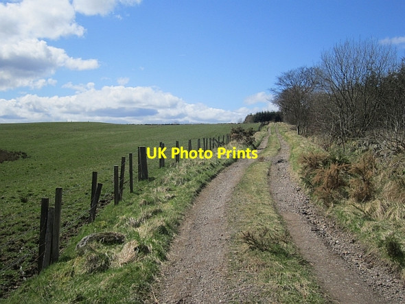 Photo 6"x4" Track, Gask Park Falkland c2013
