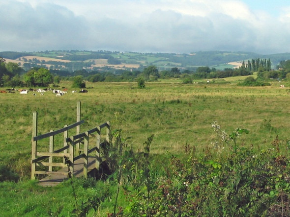 Photo 6"x4" Footpath across the Meads, Bridgwater Bridgwater c2008