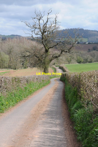 Photo 6"x4" Country road, Llangattock-Vibon-Avel Llangattock-Vibon-Avel c2013