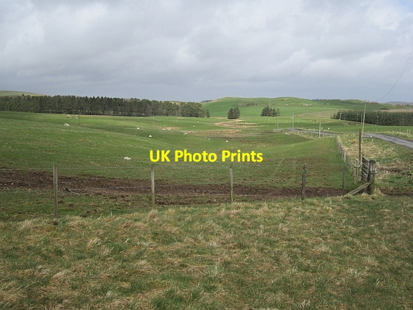 Photo 6"x4" Field, Hog Knowe Cringletie c2013