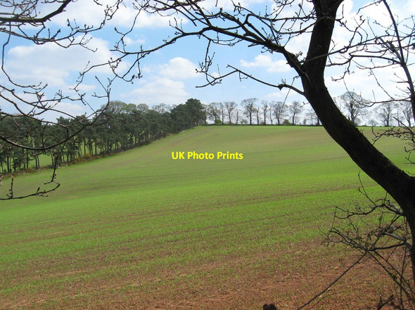 Photo 6"x4" Field adjacent to Bunkers Hill Wood, Staffs Stourbridge c2013