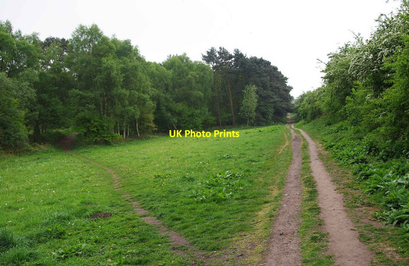 Photo 6"x4" Grassed area by western edge of Bunkers Hill Wood, Staffs Stourbridge c2011