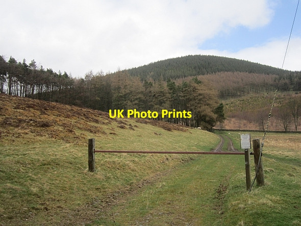 Photo 6"x4" Track, Cademuir Bellanrigg c2013