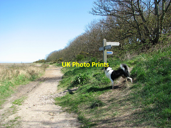 Photo 6"x4" Fingerposts beside the Norfolk Coast Path, Stiffkey Stiffkey c2013